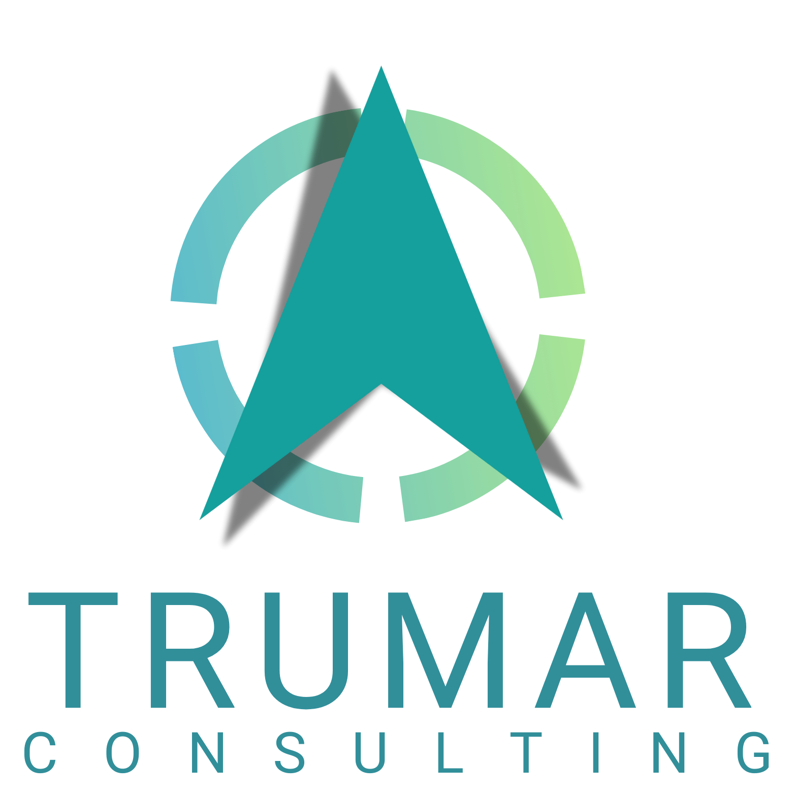 cropped-TRUMARCONSULTING_LOGO_2024.png